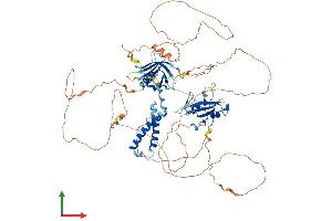 AlphaFold protein structure predicition of Human Recombinant SH2B1 Protein, UniprotID Q9NRF2 (SH2B1 Protein (AA 1-756) (His tag))