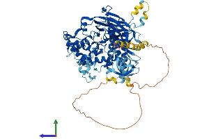 AlphaFold protein structure predicition of Mouse Recombinant Nphp1 Protein, UniprotID Q9QY53 (NPHP1 Protein (AA 1-687) (His tag))