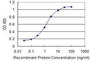 Detection limit for recombinant GST tagged CDR2 is 0. (CDR2 antibody  (AA 296-404))