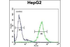 IL1RN Antibody (C-term) (ABIN1882098 and ABIN2840789) flow cytometric analysis of HepG2 cells (right histogram) compared to a negative control cell (left histogram). (IL1RN antibody  (C-Term))