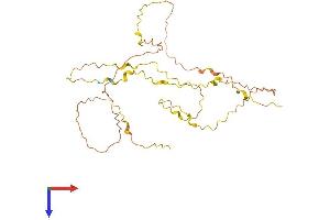 AlphaFold protein structure predicition of Human Recombinant PRR32 Protein, UniprotID B1ATL7 (PRR32 Protein (AA 1-298) (His tag))
