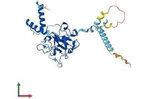 Protein Structure (PS) image for Family with Sequence Similarity 221, Member A (FAM221A) (AA 1-298) protein (His tag) (ABIN7547493)