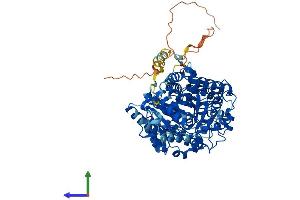 AlphaFold protein structure predicition of Mouse Recombinant Gys2 Protein, UniprotID Q8VCB3