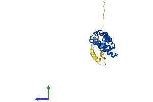 AlphaFold protein structure predicition of Mouse Recombinant Rgs19 Protein, UniprotID Q9CX84 (RGS19 Protein (AA 1-216) (His tag))