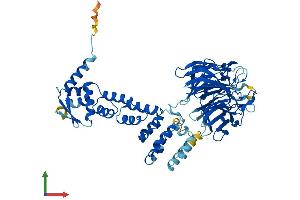 AlphaFold protein structure predicition of Mouse Recombinant Ipp Protein, UniprotID P28575 (IPP Protein (AA 1-584) (His tag))