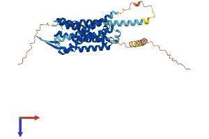 AlphaFold protein structure predicition of Mouse Recombinant Trhr Protein, UniprotID P21761 (TRHR Protein (AA 1-393) (His tag))