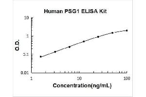 Pregnancy Specific beta-1-Glycoprotein 1 (PSG1) ELISA Kit