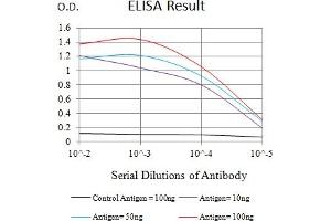 Black line: Control Antigen (100 ng),Purple line: Antigen (10 ng), Blue line: Antigen (50 ng), Red line:Antigen (100 ng) (CD97 antibody  (AA 419-552))