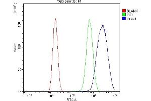 Flow Cytometry analysis of 293T cells using anti-ITGA8 antibody (ABIN7601411). (ITGA8 antibody  (AA 347-964))