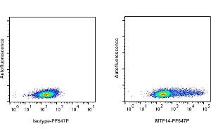 Detection of IFN-ү by flow cytometry in viable ferret spleen cells. (Interferon gamma antibody  (PromoFluor 647 Premium))