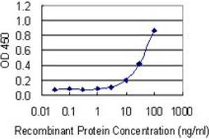 Detection limit for recombinant GST tagged KNG1 is 1 ng/ml as a capture antibody. (KNG1 antibody  (AA 322-427))