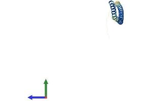 Protein Structure (PS) image for Blocked Early in Transport 1 Homolog (BET1) (AA 1-118) protein (His tag) (ABIN7562344)