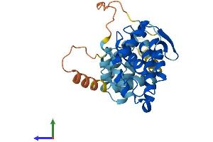 AlphaFold protein structure predicition of Human Recombinant ARHGAP11B Protein, UniprotID Q3KRB8
