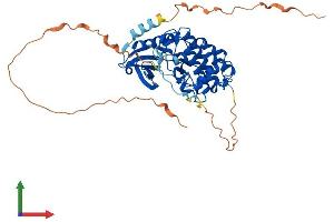 Protein Structure (PS) image for SH3-Binding Domain Kinase 1 (SBK1) (AA 1-417) protein (His tag) (ABIN7559603)