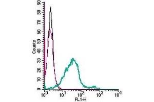 Cell surface detection of GPR55 in live intact mouse BV-2 microglia cells: (black line) Cells. (GPR55 antibody  (Extracellular))