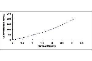 Complement Factor P (CFP) ELISA Kit
