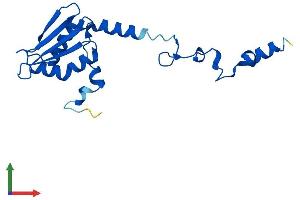 Protein Structure (PS) image for Mitochondrial Ribosomal Protein S25 (MRPS25) (AA 1-173) protein (His tag) (ABIN7551602)