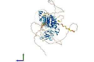 AlphaFold protein structure predicition of Human Recombinant FBXL19 Protein, UniprotID Q6PCT2 (FBXL19 Protein (AA 1-694) (His tag))