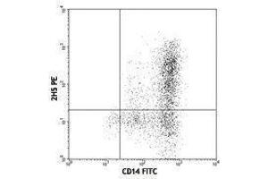 Flow Cytometry (FACS) image for anti-Chemokine (C-C Motif) Ligand 2 (CCL2) antibody (PE) (ABIN2663843) (CCL2 antibody  (PE))