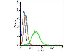 Flow Cytometry (FACS) image for anti-Vimentin (VIM) (AA 371-466) antibody (ABIN672786)