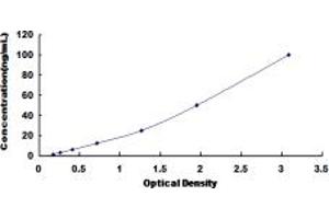 Typical standard curve (Lactate Dehydrogenase C ELISA Kit)