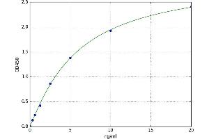 Period Circadian Protein 2 (PER2) ELISA Kit