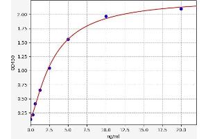Typical standard curve (HIST2H2BE ELISA Kit)