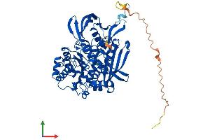 AlphaFold protein structure predicition of Human Recombinant ISYNA1 Protein, UniprotID Q9NPH2