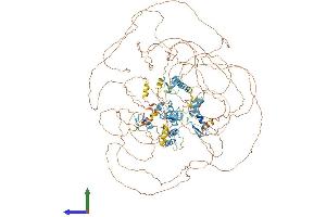 AlphaFold protein structure predicition of Human Recombinant ZNF644 Protein, UniprotID Q9H582 (ZNF644 Protein (AA 1-1327) (His tag))