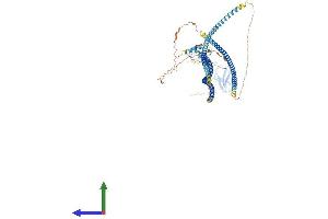 Protein Structure (PS) image for Tax1 (Human T-Cell Leukemia Virus Type I) Binding Protein 1 (TAX1BP1) (AA 1-814) protein (His tag) (ABIN7563728)