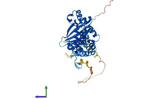 AlphaFold protein structure predicition of Human Recombinant TRADD Protein, UniprotID Q15628