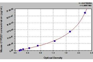 CYP2E1 ELISA Kit