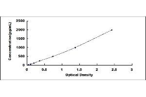 Typical standard curve (CMA1 ELISA Kit)