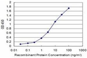Detection limit for recombinant GST tagged LHX4 is approximately 0. (LHX4 antibody  (AA 208-306))
