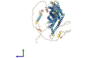 AlphaFold protein structure predicition of Human Recombinant EVC Protein, UniprotID P57679 (EVC Protein (AA 1-992) (His tag))
