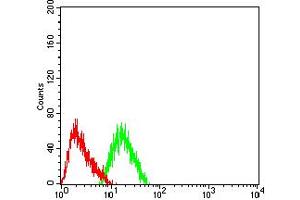 Flow cytometric analysis of SH-SY5Y cells using CHRNA7 mouse mAb (green) and negative control (red).