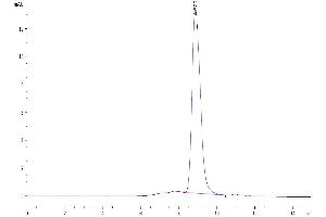 The purity of Mouse CD300A is greater than 95 % as determined by SEC-HPLC. (CD300a Protein (CD300A) (AA 28-185) (His tag))