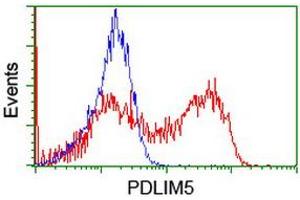 Flow Cytometry (FACS) image for anti-PDZ and LIM Domain 5 (PDLIM5) antibody (ABIN1500132)