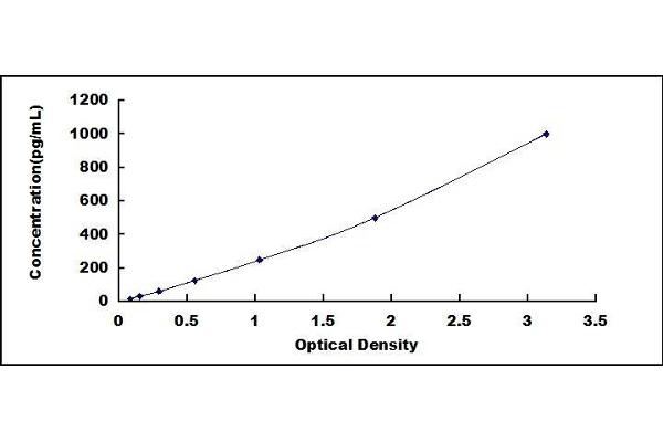 KIT Ligand ELISA Kit