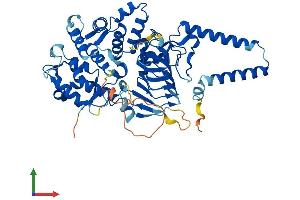 Protein Structure (PS) image for TBCC Domain Containing 1 (TBCCD1) (AA 1-552) protein (His tag) (ABIN7557807)