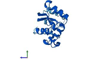AlphaFold protein structure predicition of Human Recombinant NME2P1 Protein, UniprotID O60361 (NME2P1 Protein (AA 1-137) (His tag))