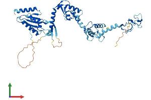 AlphaFold protein structure predicition of Human Recombinant RNF14 Protein, UniprotID Q9UBS8 (RNF14 Protein (AA 1-474) (His tag))