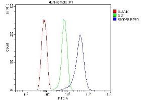 Flow Cytometry analysis of HEPA 1-6 cells using anti-S100A8 antibody (ABIN3042481).