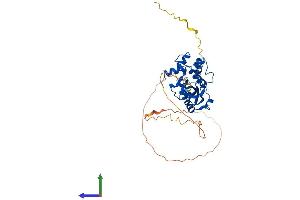 Protein Structure (PS) image for Interferon Stimulated Exonuclease Gene 20kDa-Like 2 (ISG20L2) (AA 1-353) protein (His tag) (ABIN7548400)