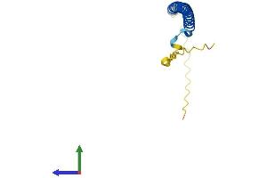 Protein Structure (PS) image for Basic Leucine Zipper ATF-like Transcription Factor (BATF) (AA 1-125) protein (His tag) (ABIN7562296)