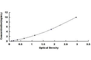 Typical standard curve (IGF2BP3 ELISA Kit)