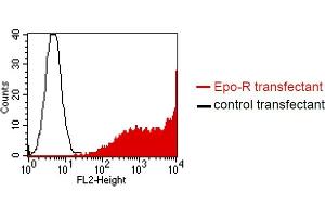 BOSC23 cells were transiently transfected with an expression vector encoding either Epo-R (red curve) or an irrelevant protein (control transfectant). (EPOR antibody)