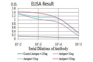 Black line: Control Antigen (100 ng),Purple line: Antigen (10 ng), Blue line: Antigen (50 ng), Red line:Antigen (100 ng) (ATRX antibody  (AA 2311-2492))