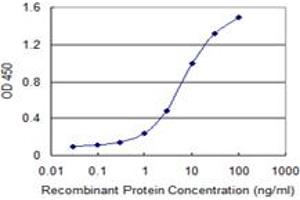 Detection limit for recombinant GST tagged FUBP1 is 0. (FUBP1 antibody  (AA 1-653))