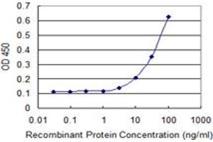 Detection limit for recombinant GST tagged PANK3 is 3 ng/ml as a capture antibody. (PANK3 antibody  (AA 1-370))